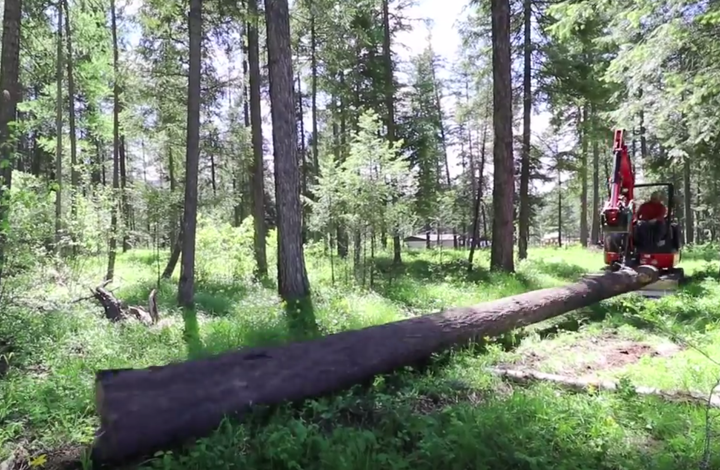 dragging logs to portable sawmill